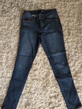1822 Denim Indigo Skinny Jeans